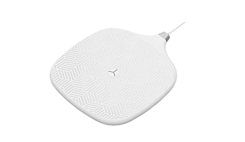 BlueBird DR901 rfid solution